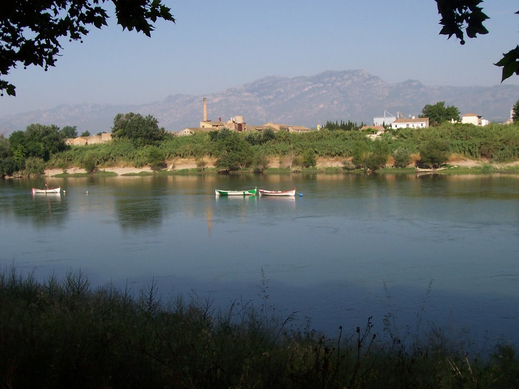 Riu Ebre en Tortosa