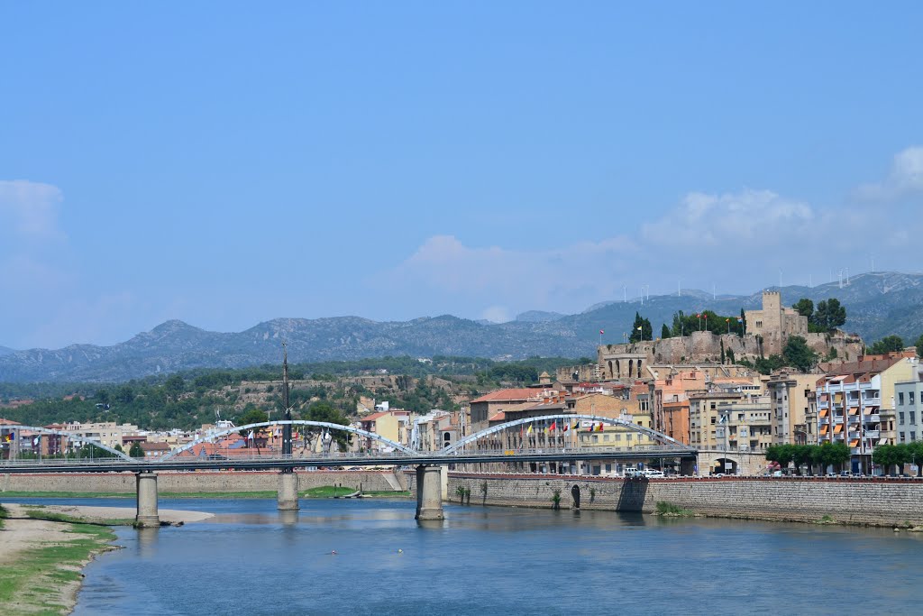 Tortosa des del pont