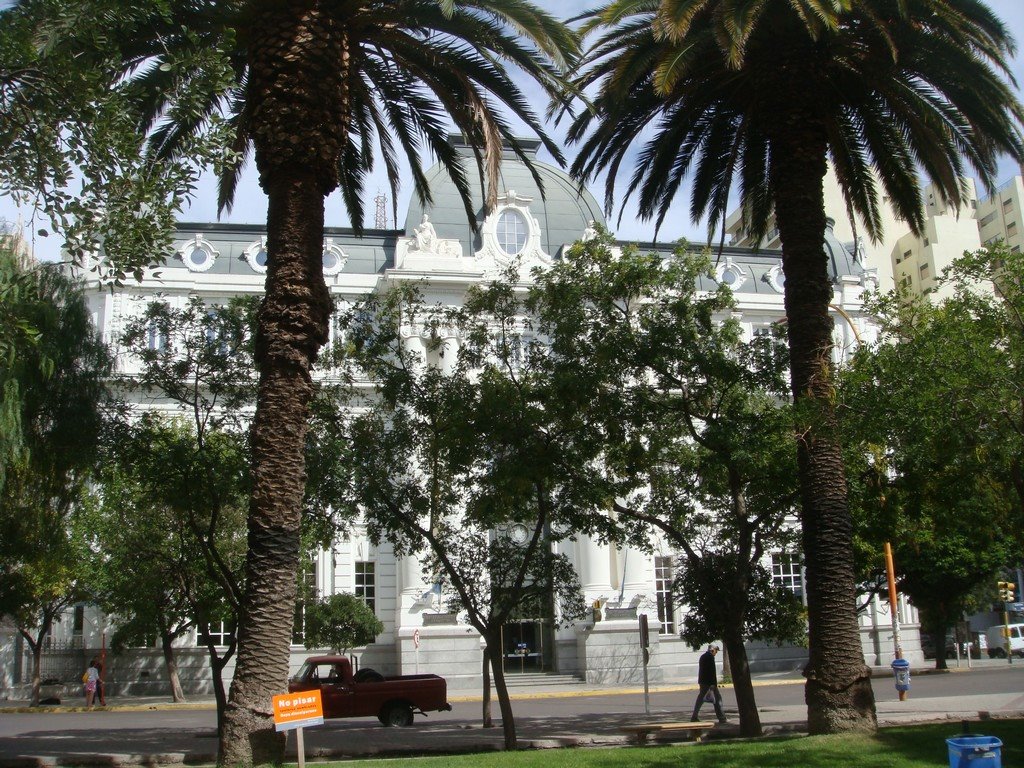 Banco Nación tras las palmeras / Lautaro