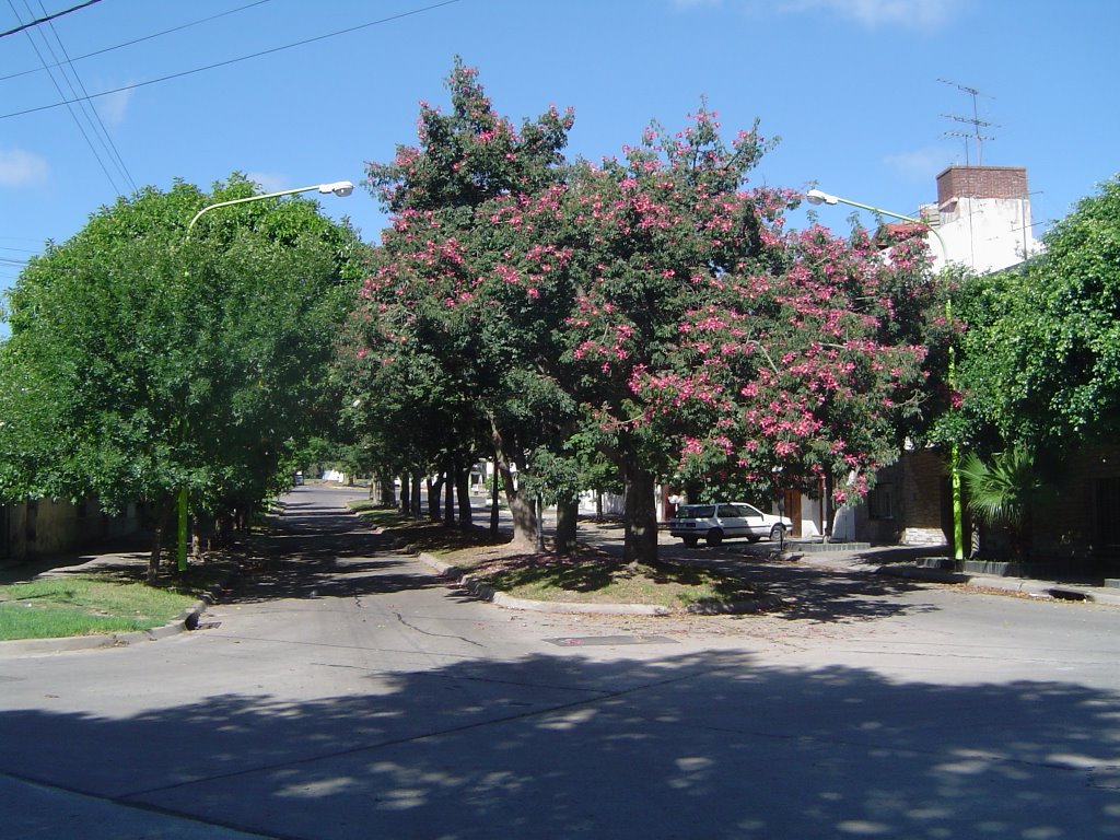 Boulevar Lavalle