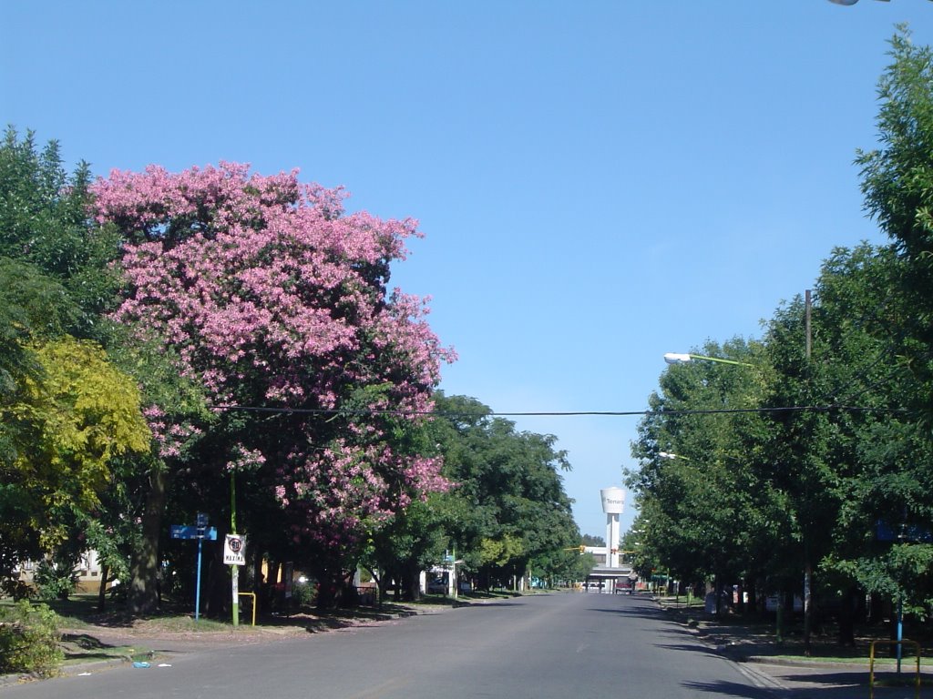 Avenida Mitre.