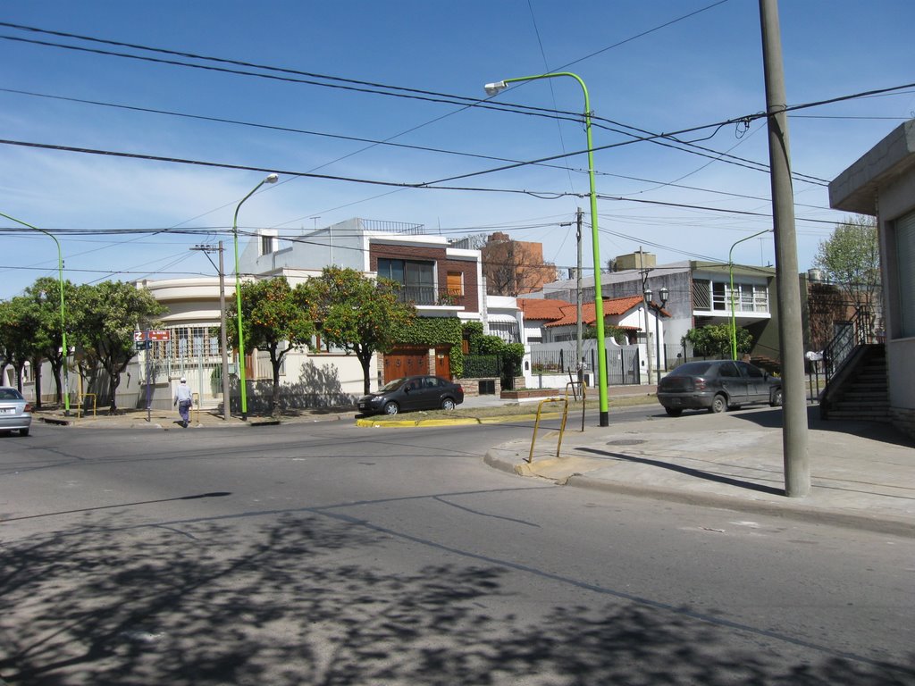 muestra de estilos