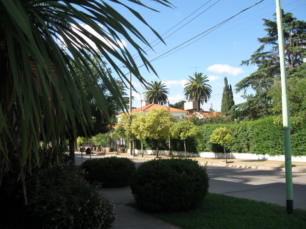 cuadra-jardin  de calle Beruti.