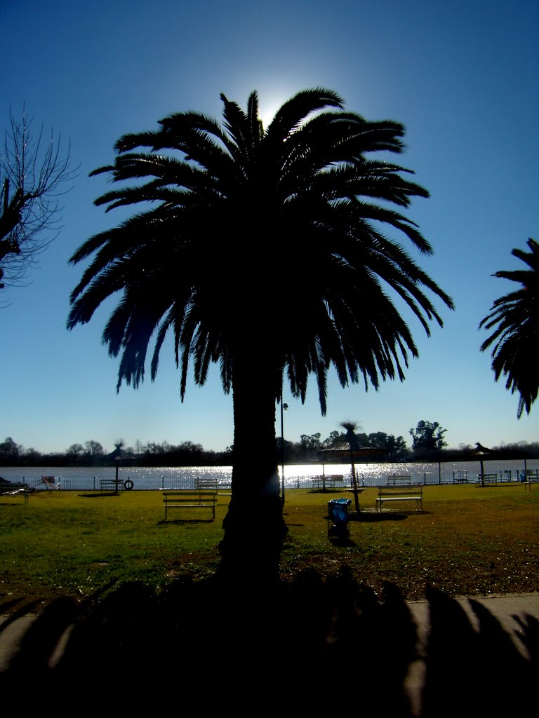 DE MAÑANA EN EL RÍO