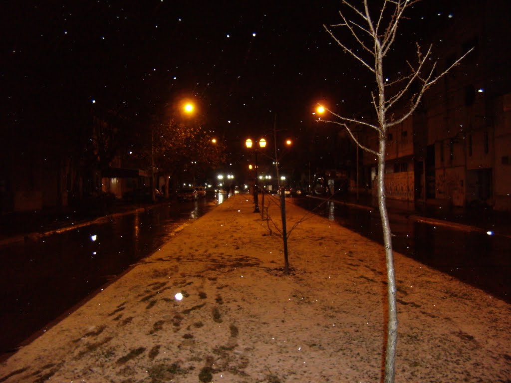 Rastros en la Nieve