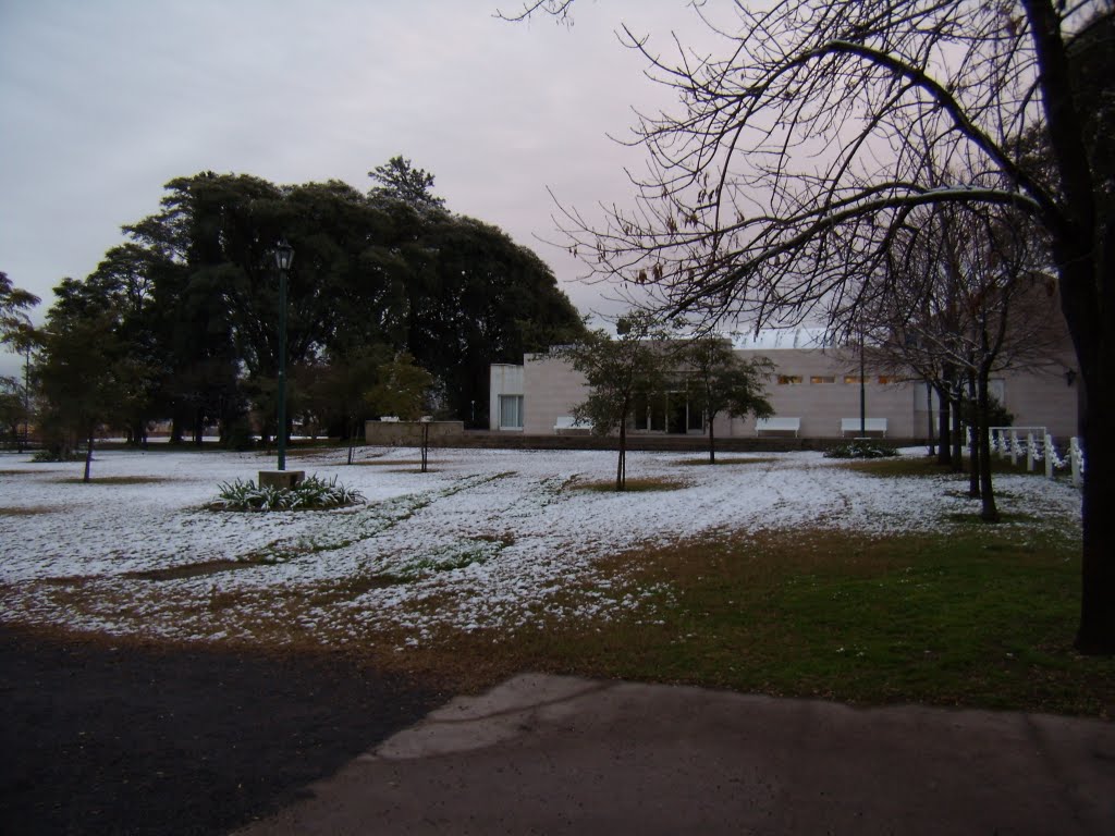 Nieve en Campana