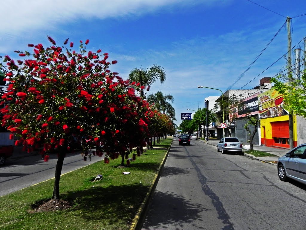 Avenida Rivadavia, Campana, Buenos Aires