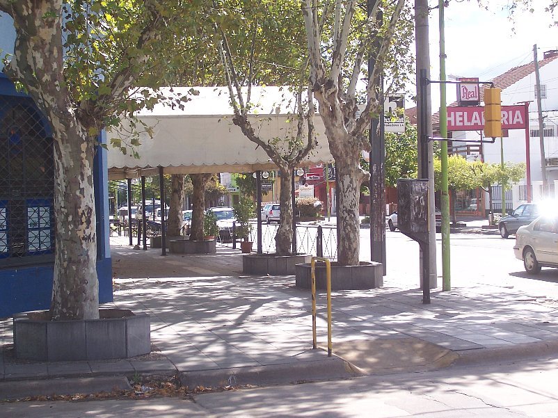 Vereda de la Avenida Mitre, en el Bar Smowing