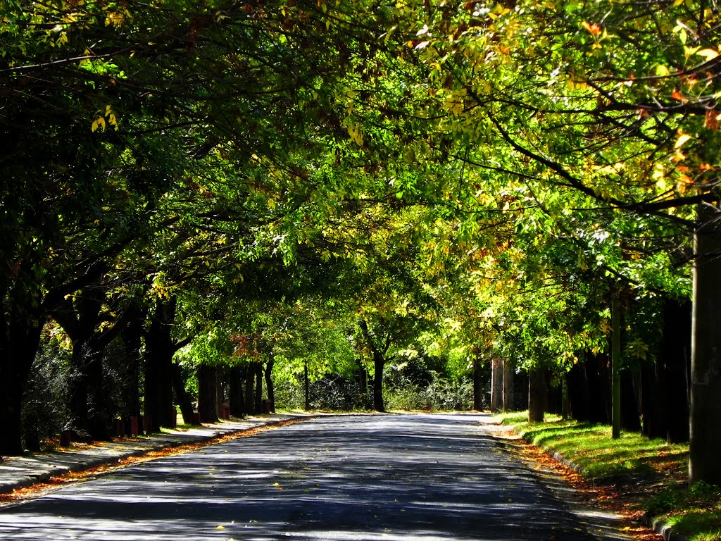 Luces, sombras y colores del Otoño