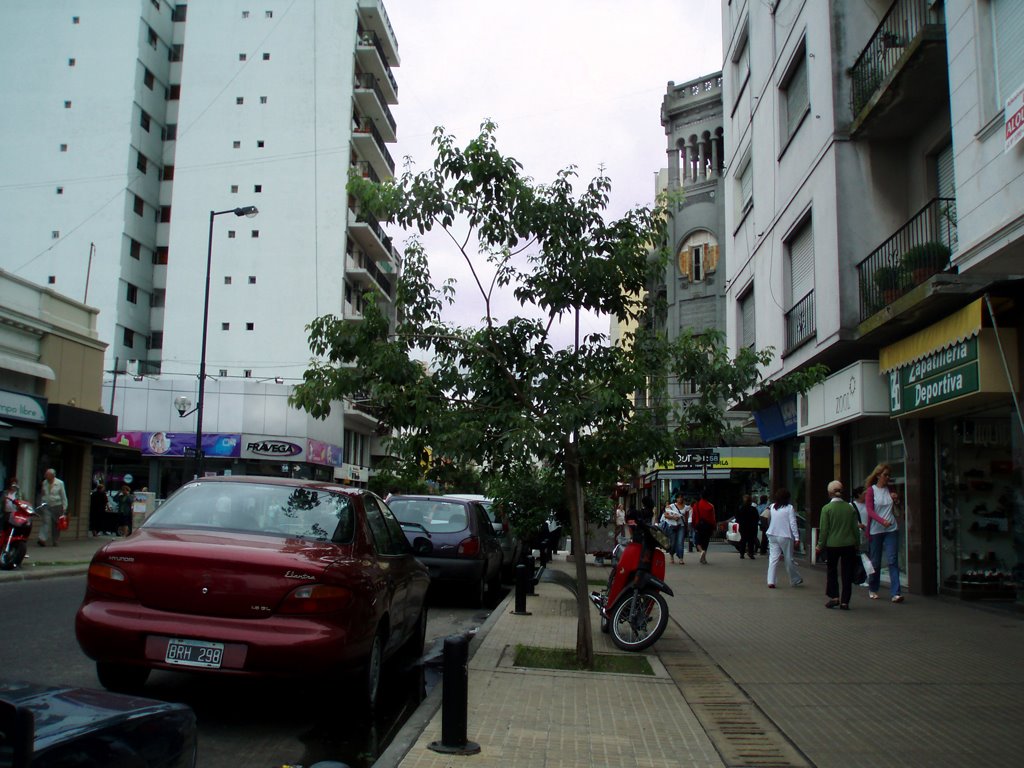 Apliacion de Calle 12
