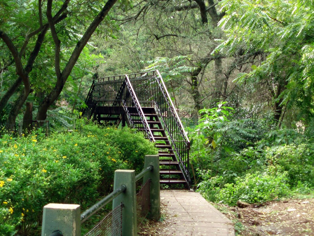 El Puente del Zoologico