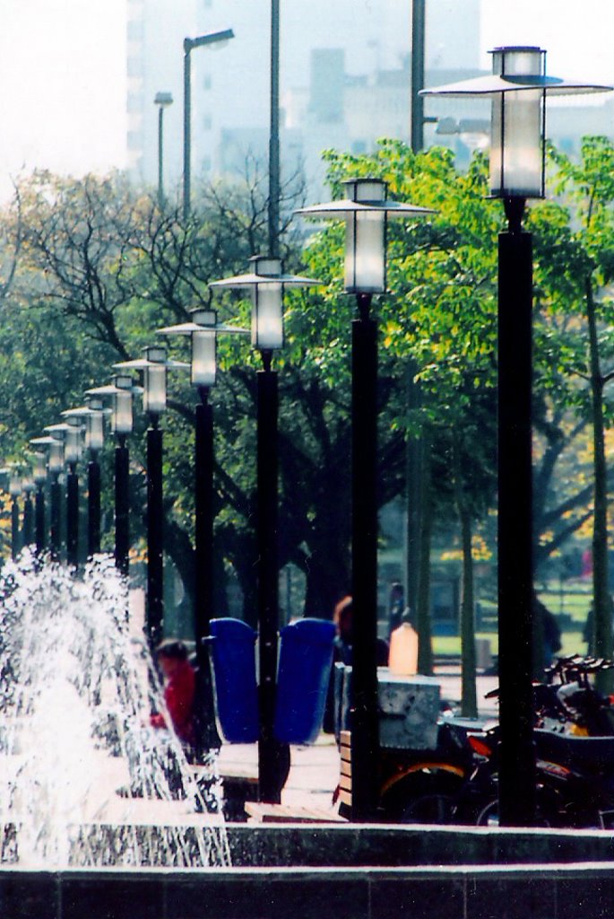 Simetria & Farolas en Avenida 51