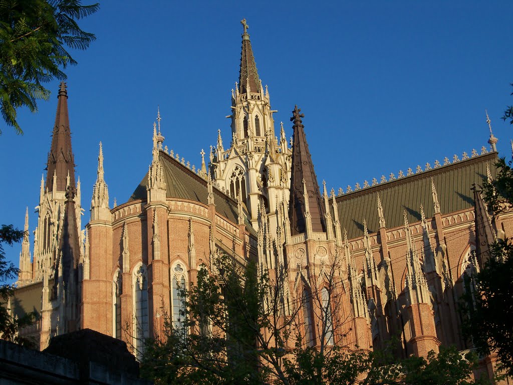 Una obra de arte. Catedral de La Plata