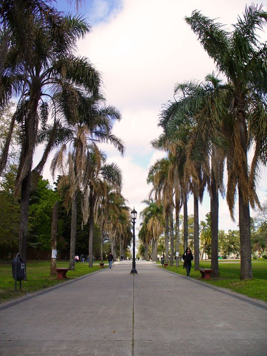 AVENIDA EN PARQUE SAAVEDRA