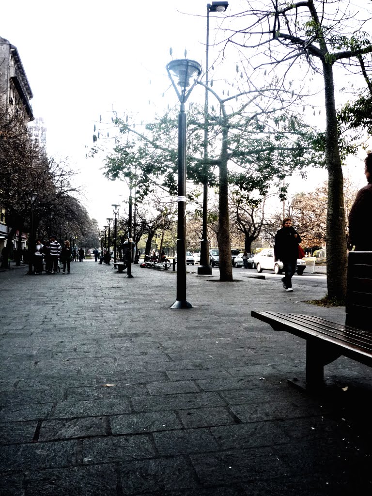 otoño en la plata