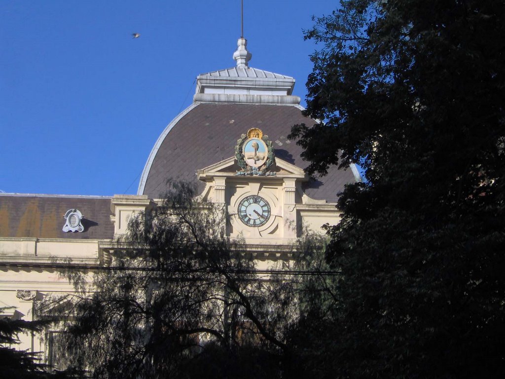 rectorado de la universidad nacional de la plata