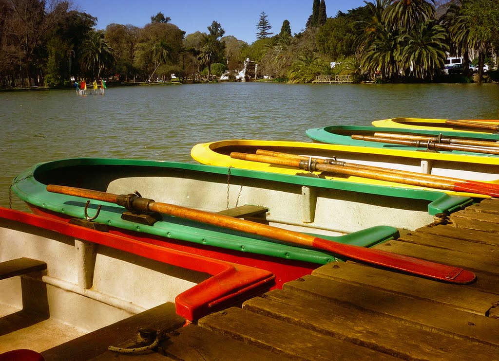 botes en el bosque