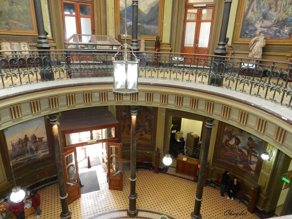 "Hall de acceso". Museo de La Plata.