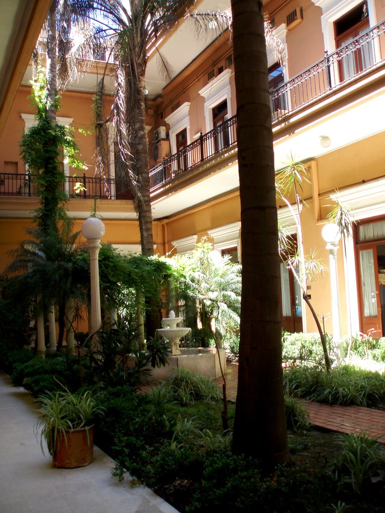 El Patio de las Palmeras