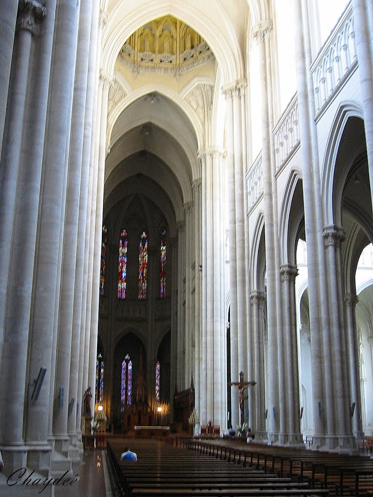 "Interior de la Catedral de La Plata"