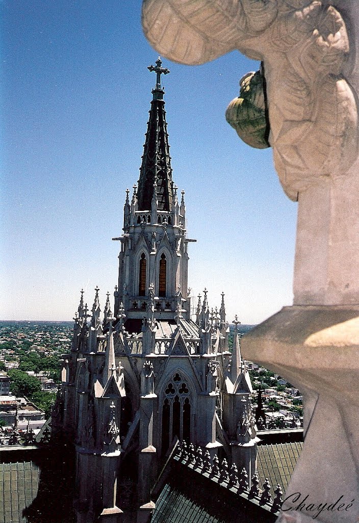 "Vista de La Plata"