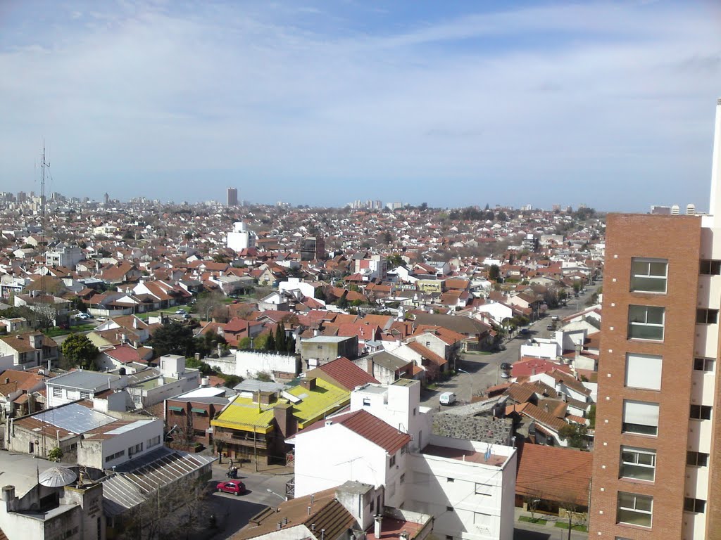 Panorámica