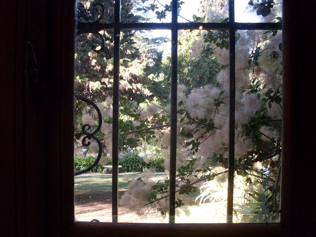 Ventana al pasado