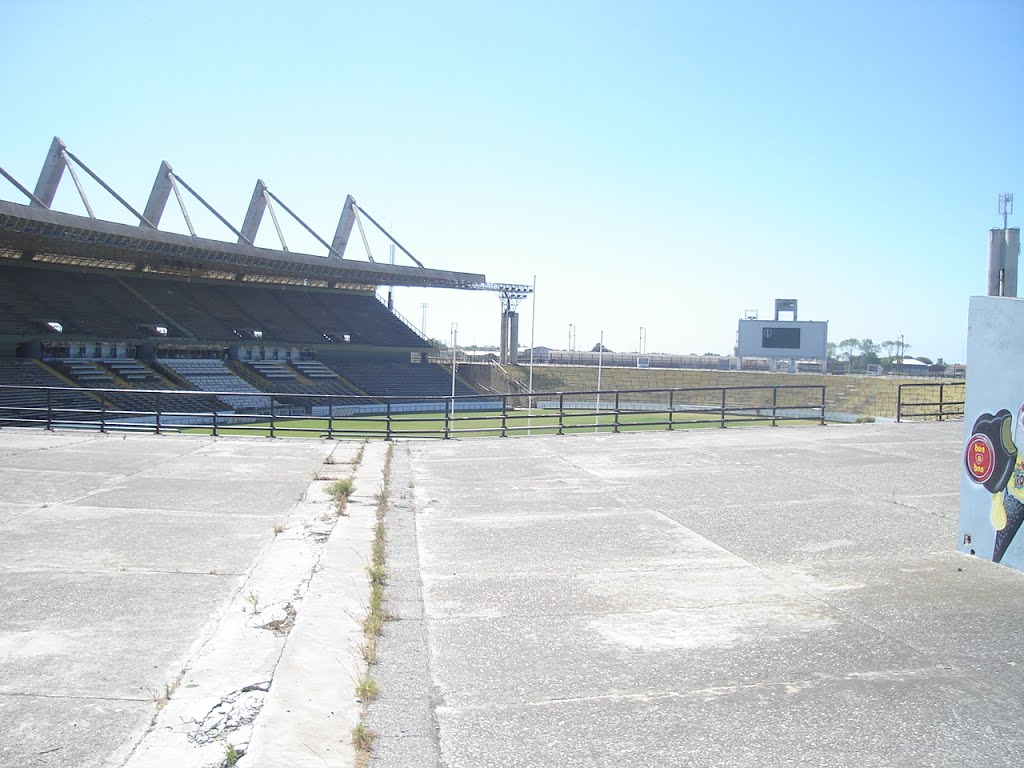 Estadio
