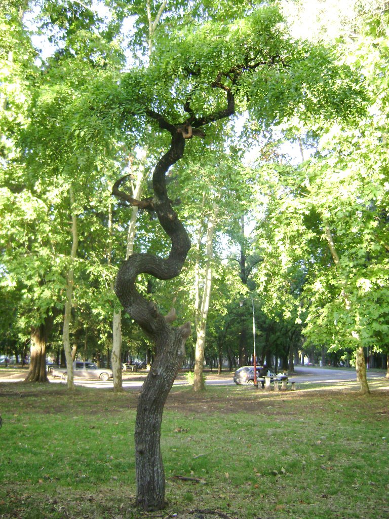 Caprichos de la Naturaleza!!!