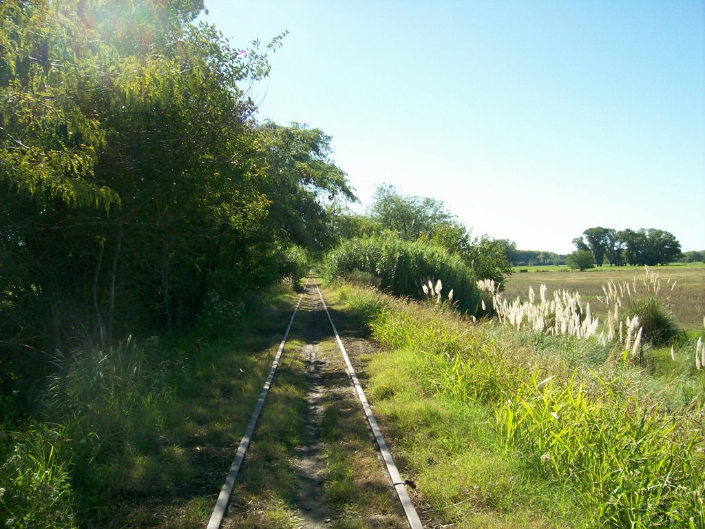 Vías hacia la estación La Valerosa - FCGMB