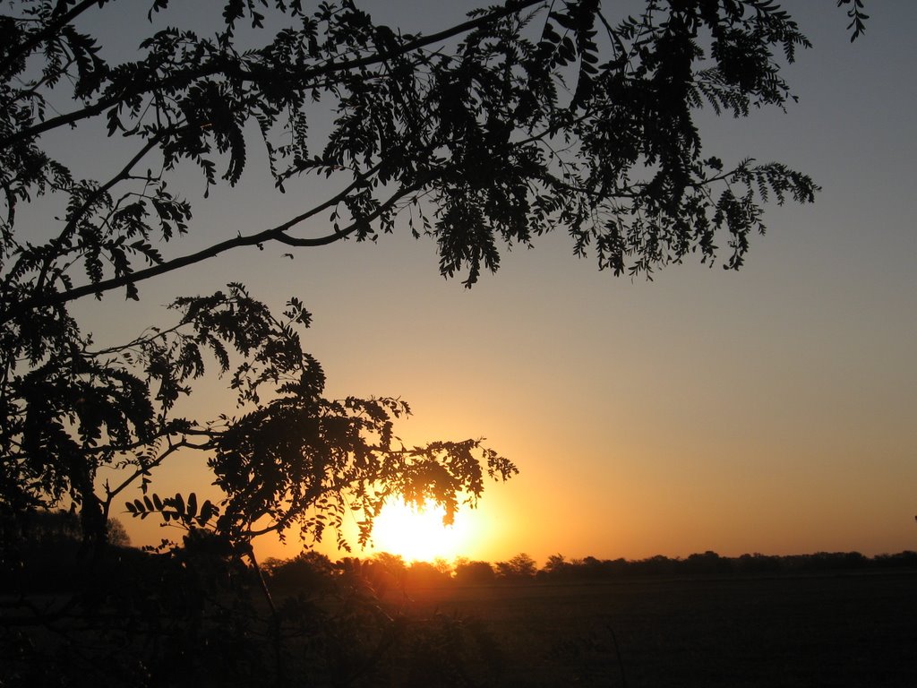 atardecer