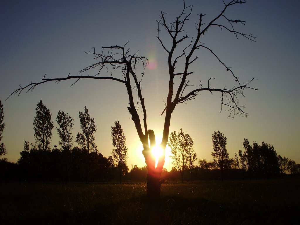 campo en Mercedes