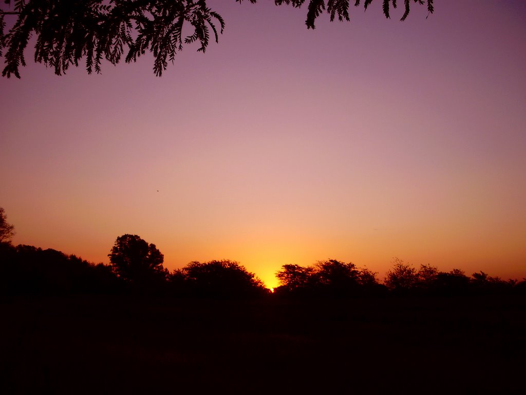 atardece