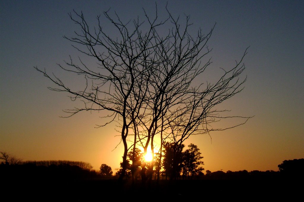 Ocaso en el campo