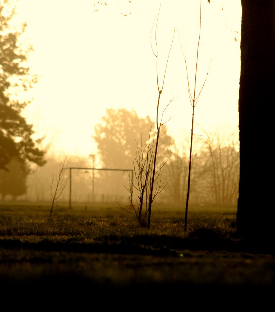 "El Parque"