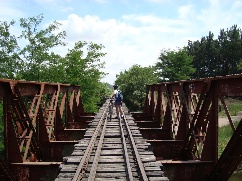 Puente del CGBA sobre el río Luján