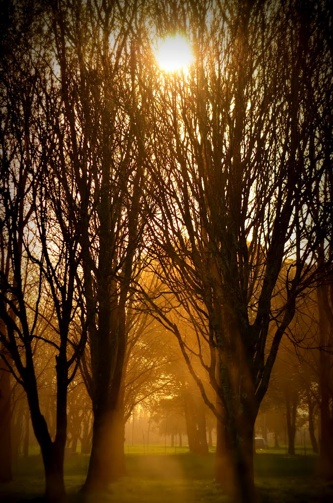 Un atardecer de invierno..