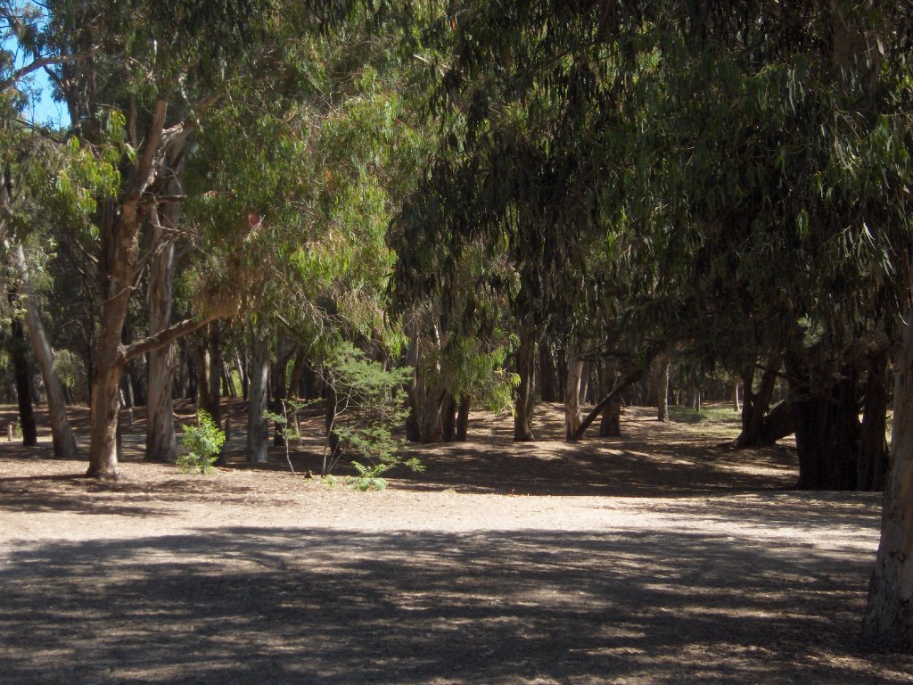 Parque Miguel Lilio