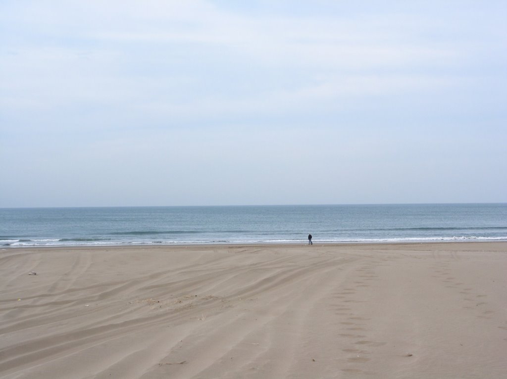 MAR NECOCHEA