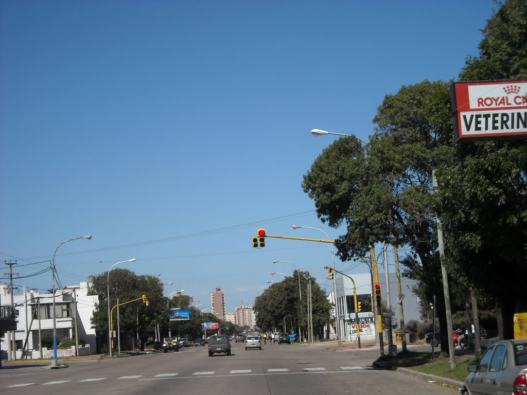 Av. San Martín - Necochea
