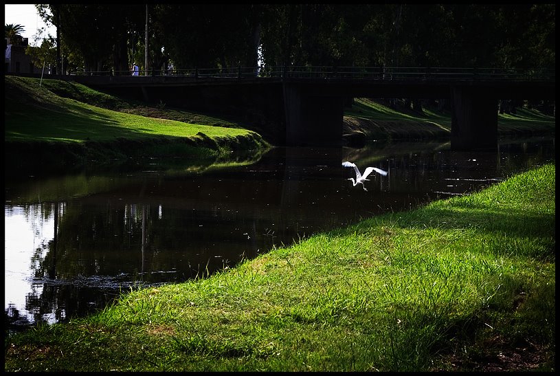 Arroyo Pergamino