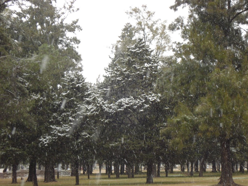 Nieve en el Parque Municipal de Pergamino