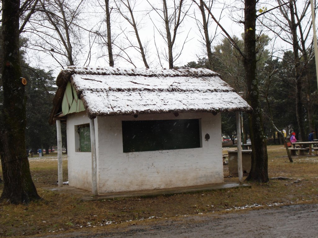 Nieve en el Parque Municipal de Pergamino
