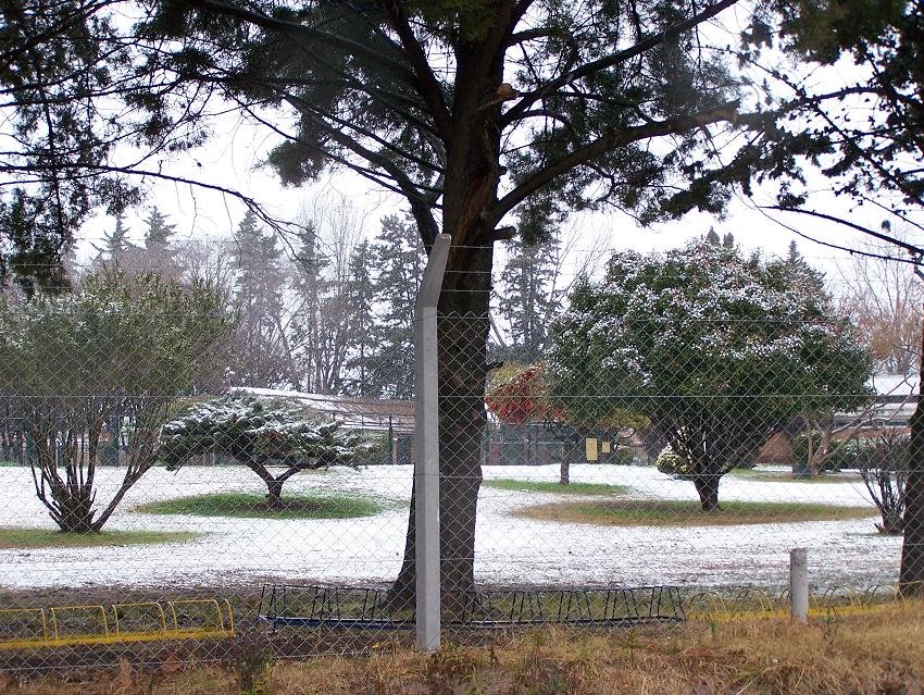 Club Gimnasia nevada