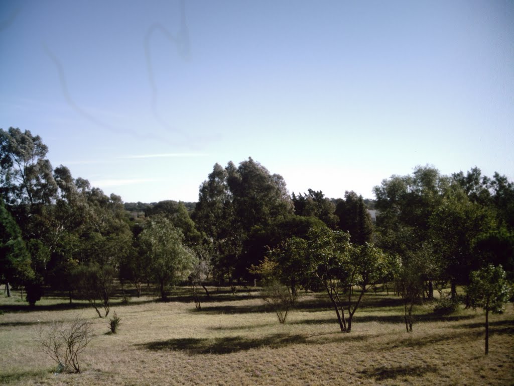 parque san martin