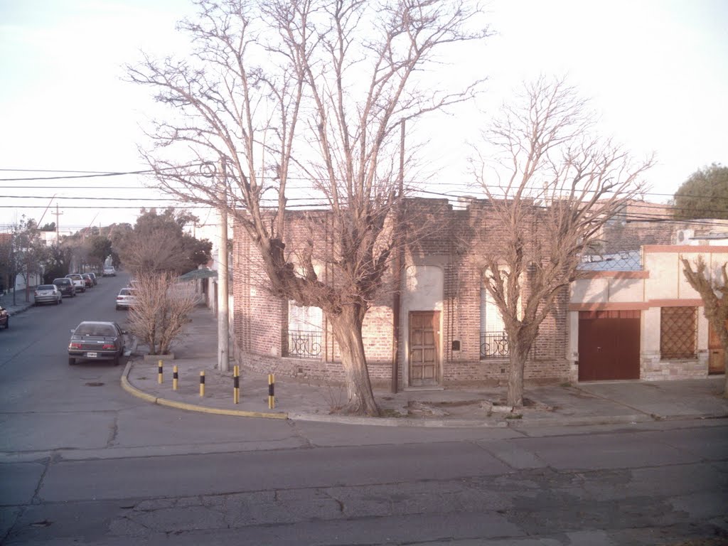 colon y patagones