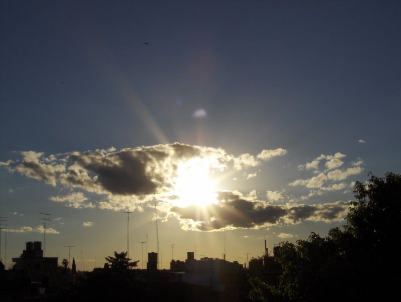 Como manos,tomando al sol.