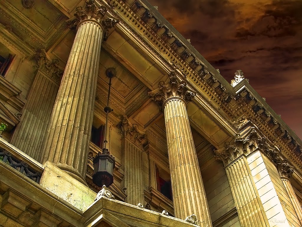 congreso nacional - detalle del orden
