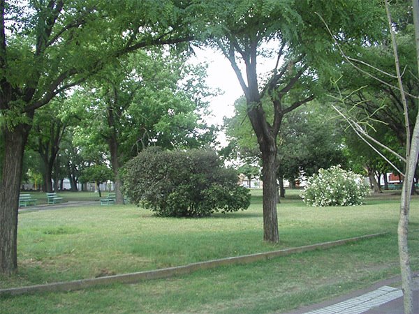 Plaza Pellegrini