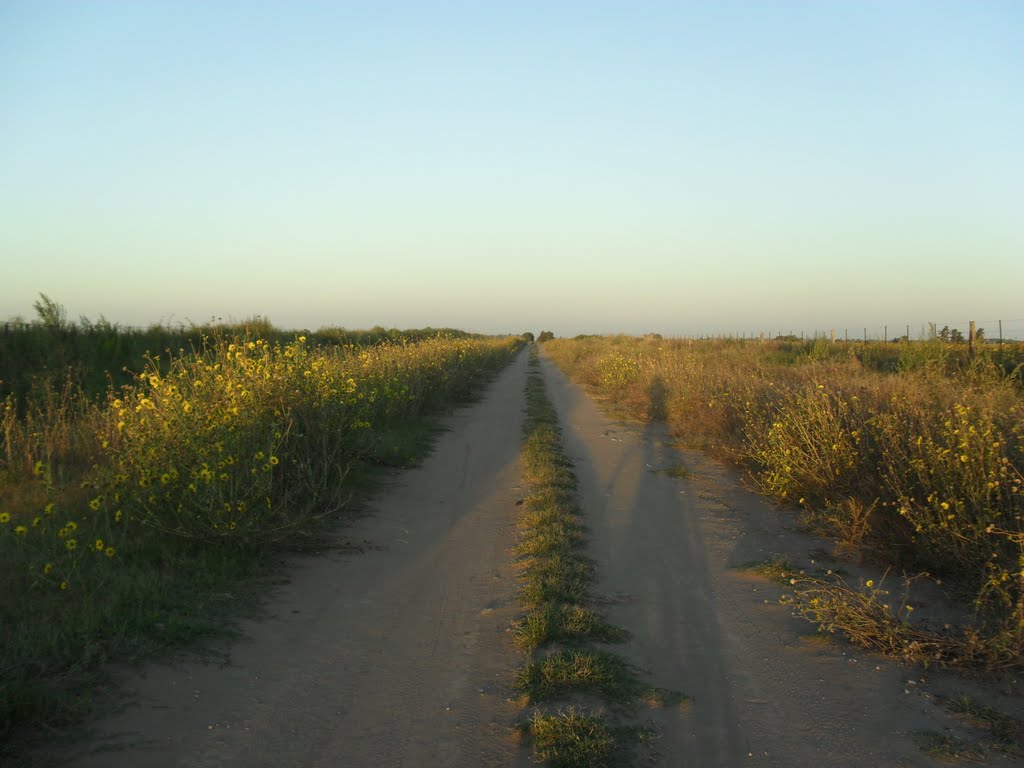 caminos pampeanos